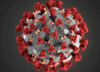 India Has Earlier Supplied Vaccines Through Covax And Bilaterally To African Nations (Photo Credit: Al Arabiya)