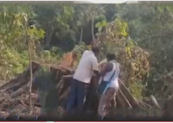 Locals Accused The Khasi Christians Had Cut The Tree And Threatened With Dire If They Returned To Worship The Tree