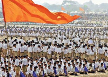 The Senior RSS Functionaries Met Sardar Vallabhbhai Patel Before The Planned Coup (Photo Credit: Voice Of Margin)