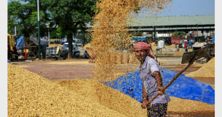 The high-quality work is reflected by rice export being the top Forex earner for the country at 5937 million dollars in April-November 2021-22 (Photo Credit: Deccan Herald)
