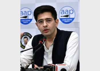 Raghav Chadha is an MLA from Rajinder Nagar in Delhi is also the vice-chairperson of the Delhi Jal Board and national spokesperson of the Aam Aadmi Party (Photo Credit: The Hindu)