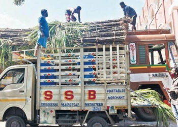 DMK office bearers at the district level are procuring the canes from the farmers at a rate of ₹14-15, instead of the promised ₹33 per cane (Photo Credit: The New Indian Express)