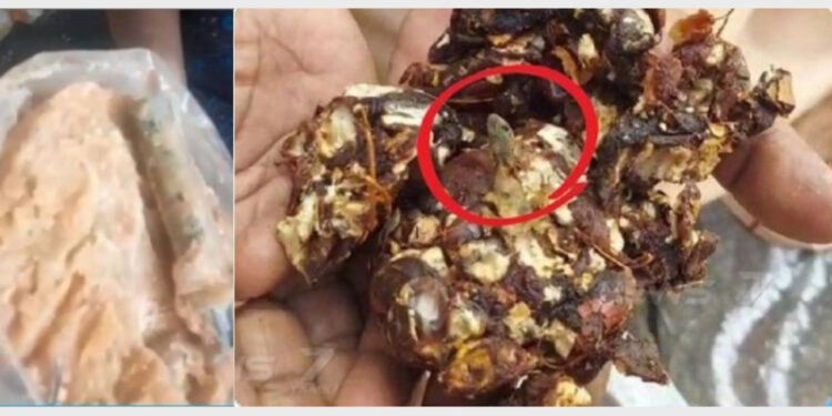Syringe and dead lizard were found in jaggery and tamrind in DMK's Pongal gift hamper