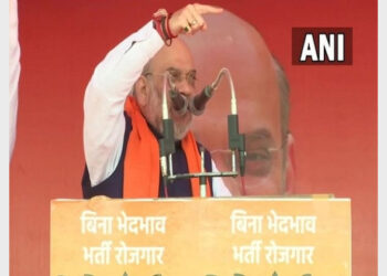 Union Minister Amit Shah addressing in a rally (Photo Credit: ANI)