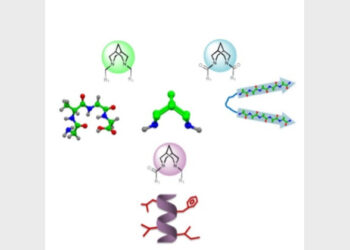 A universal privileged scaffold approach for the design of a variety of inhibitors (Photo Credit: India Science Wire)