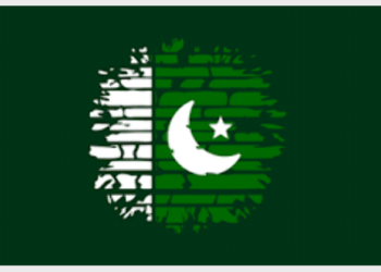 The geographical location and other data reveal that the top five accounts that interacted the most with the controversy hashtags are from Pakistan