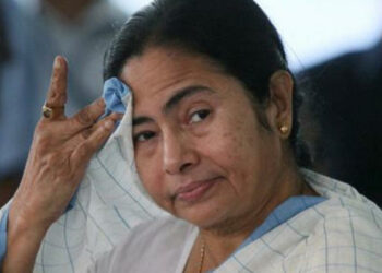 TMC vote share in Goa is nearly negligible at 5.33 per cent (Photo Credit: TFI Post)
