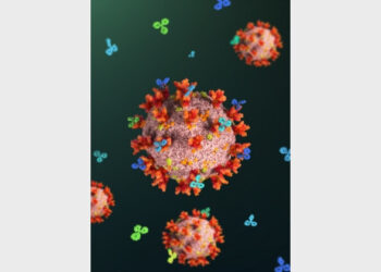 An artist’s rendition of SARS-CoV-2 viral particles with spike proteins blocked by antibodies (Image: Lensmedical)