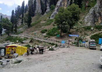 A view of tents among Amaranth Yatra arrangements at Baltal camping ground, in Srinagar  (Photo Source: ANI)