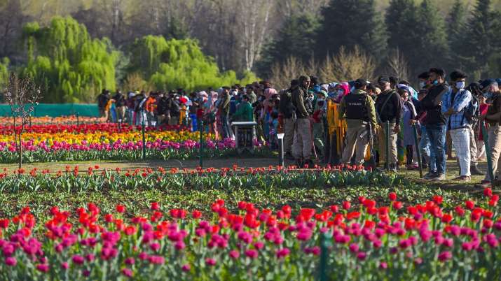 Tourists at Tulip Garden in Kashmir (Photo Source: PTI)