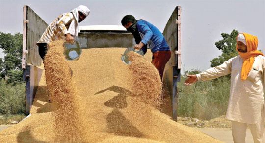 India grows wheat annually from October to December, while crop harvest takes place between March and April. However, there was damage to the crop due to the heatwave conditions