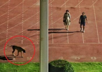 IAS officer Sanjeev Khirwar and his wife Rinku Dugga in Delhi stadium