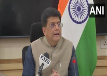 Union Minister Piyush Goyal (Photo Source: ANI)