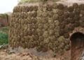 Cow Dung cakes dry on the wall of a coal-fired brick oven. They're rolled into cakes, then stuck on the wall with the smack of a hand, leaving an imprint.