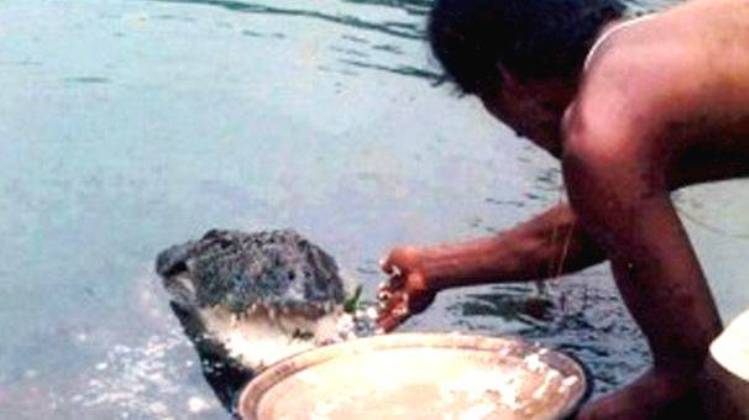 Babiya, the divine, gentle crocodile of Ananthapura Lake temple passes away