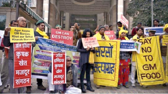 A protest against genetically modified crops outside the Ministry of Environment in New Delhi