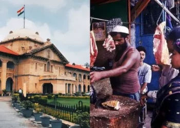 From Left: Allahabad High Court, Representative Image for Meat Shop