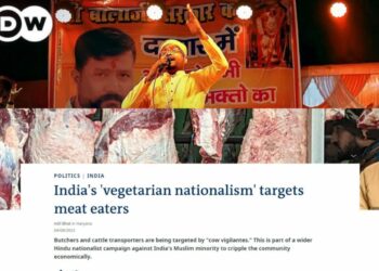 Screenshot from DW documentary and the DW article on India's Vegetarian nationalism