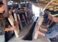 Nagaland’s Member of Parliament to Rajya Sabha, S Phangnon Konyak and other are seen participating in beating of the log drum for the first time by women at Wansoi village, under Noklak district