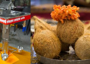 From Left: Datta Sutur's coconut water harvesting device, Representative image of coconuts