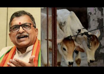 VHP Secretary General Shri Milind Parande (L) and a representation image of cow slaughtering (R), (Image: Twitter and BBC)