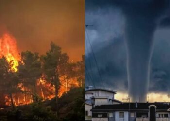 Left: Wildfire (Southern Italy), Right: Tornado (Northern Italy)