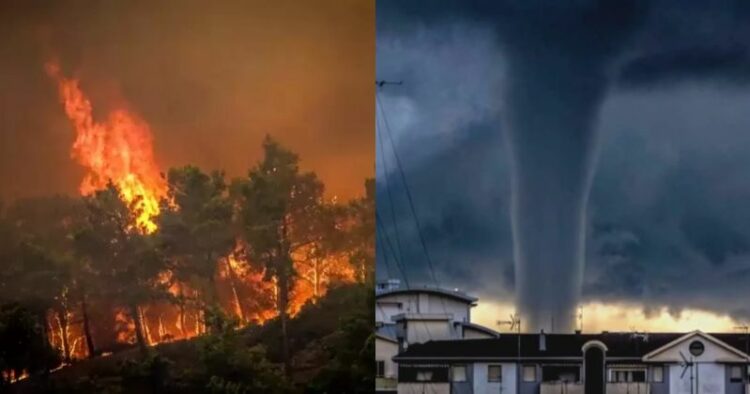 Left: Wildfire (Southern Italy), Right: Tornado (Northern Italy)