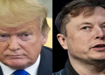 Former US President Donald Trump (Left), Tesla CEO Elon Musk (Right)