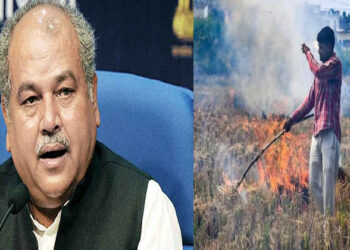 Union Agriculture Minister Narendra Singh Tomar (Left), Stubble burning of paddy (Right)