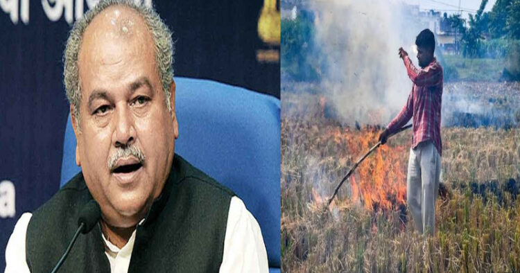 Union Agriculture Minister Narendra Singh Tomar (Left), Stubble burning of paddy (Right)
