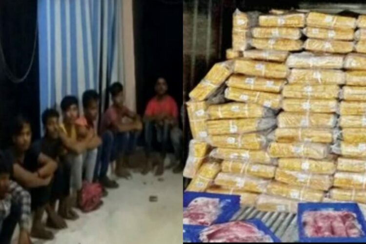Punjabl police arrested 12 Rohingya Muslims after Hindu activists informed about illegal beef factory (L) the beef was recovered in packets  (R) (Source: Dainik Bhaskar and Panchjanya)