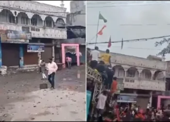 Screengrab taken from the video of the attack (OpIndia Gujarati)