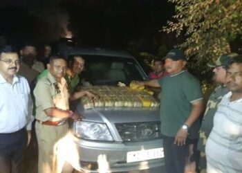 Assam police and BSF seized a huge amount of contraband drugs