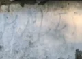 Pro-Khalistan graffiti found in outside walls of Government office in Dharamshala, Himachal Pradesh