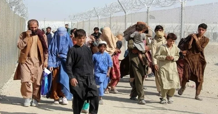 Afghan Refugees walk inside a fenced corridor as they enter Pakistan at the Pakistan-Afghanistan border (Source: Dawn)