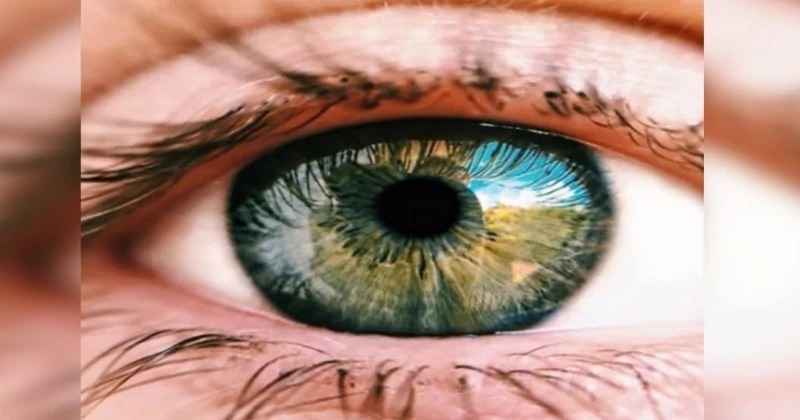 Study reveals diabetes may be treated using eye implants - Organiser