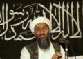 Osama bin Laden (NPR)