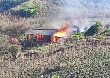 Opium cultivation destoyed by the security forces