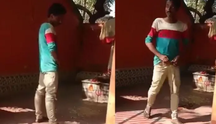 Man who urinated near Shivling in viral video (OpIndia)