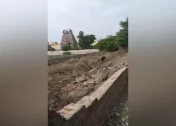 Historic Tirupanandal Kasi Mutt Temple tank wall vandalised