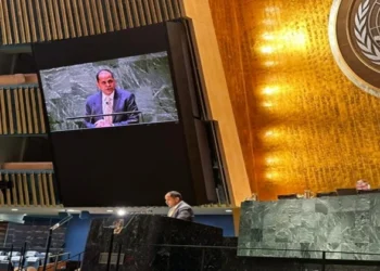 Indian Counsellor Pratik Mathur at UN Summit