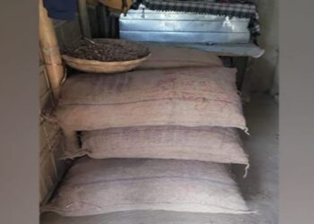 Assam Police seize 480 kg of Burmese supari