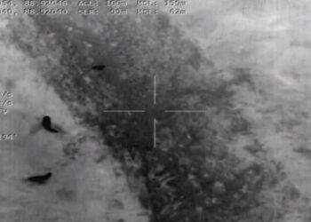 Screengrab of BSF Drone camera footage at India-Bangladesh border