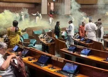 MPs can be seen inside the House where a man released a yellow smoke from a canister. Image credit: Saket Gokhale, MP