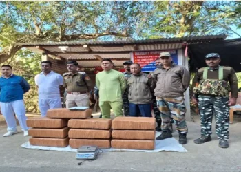 Assam Rifles seized 160 Kg of marijuana worth Rs 70 lakhs from Ambassa of Dhalai District earlier today. (Source: Assam Rifles HQ, Agartala Unit)