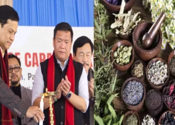 Union Minister Sarbananda Sonowal and Arunachal Pradesh Chief Minister Pema Khandu inaugurated the foundation stone laying ceremony for the North Eastern Institute of Ayurveda and Folk Medicine Research (NEIAFMR) in Pasighat