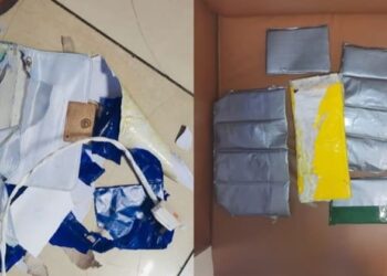 DRI apprehends Cote d'Ivoire woman passenger at Mumbai airport with cocaine hidden in handbags