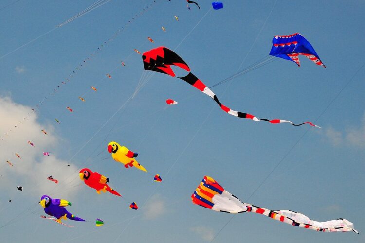 International Kite festival, Gujarat (Representative image)