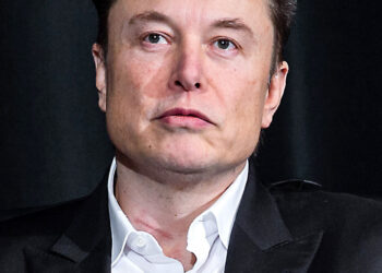 Tesla CEO: Elon Musk