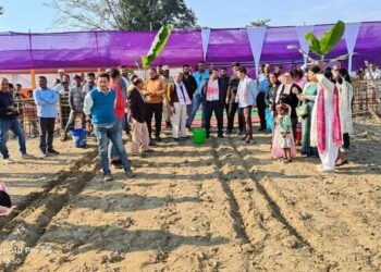 Maize Cultivation in Tinsukia